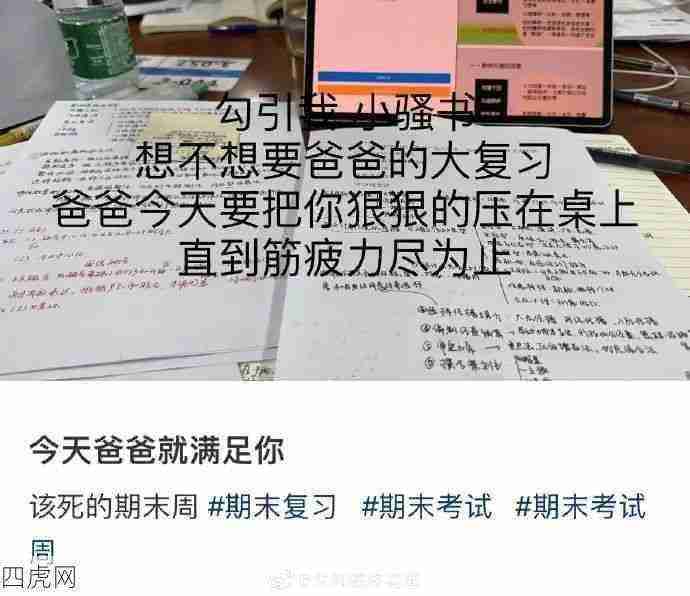 考试周没有不发疯的 没有人