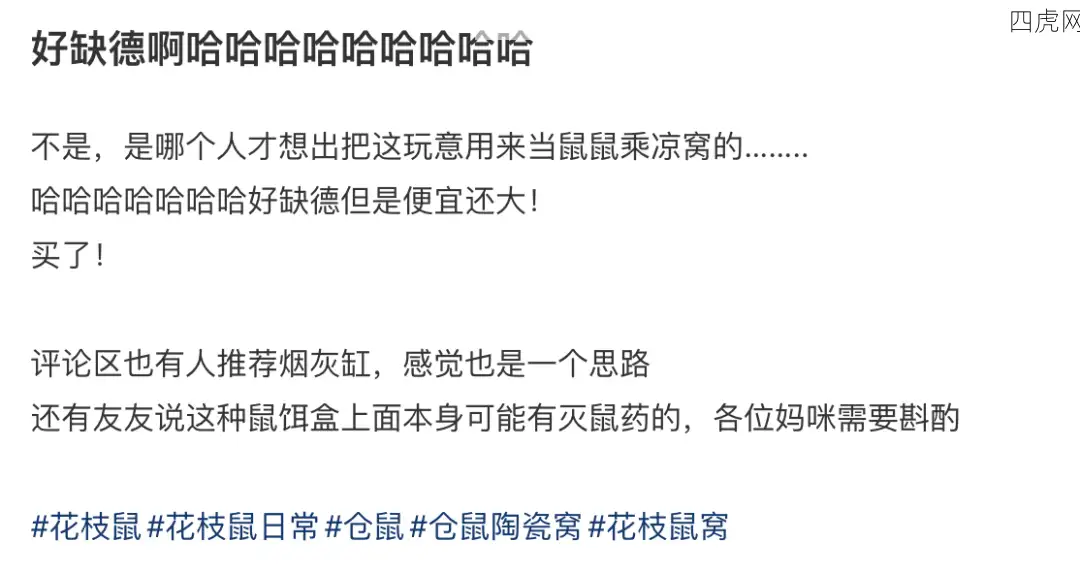 真米奇妙妙屋！欺负老鼠不认字