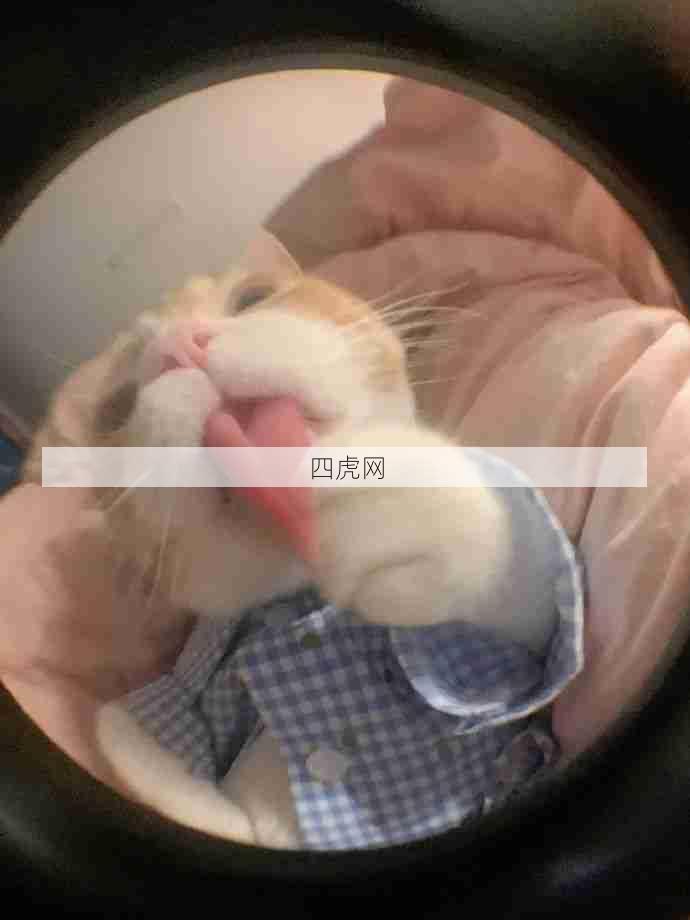 好可爱好香香！不敢想象有多好rua