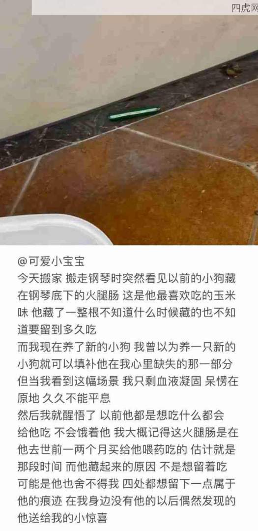 要好好的对它！有宠物的慎入