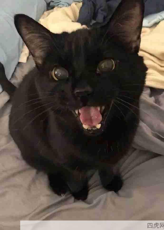 给我来一只小深渊