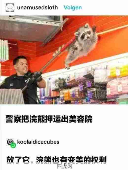 哈哈哈可爱又可恶！火箭太牛了