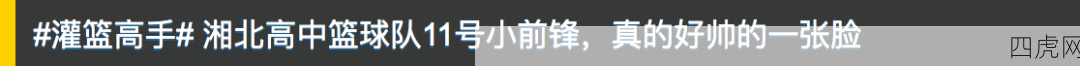 呜呜呜流川枫的颜我可以看一辈子